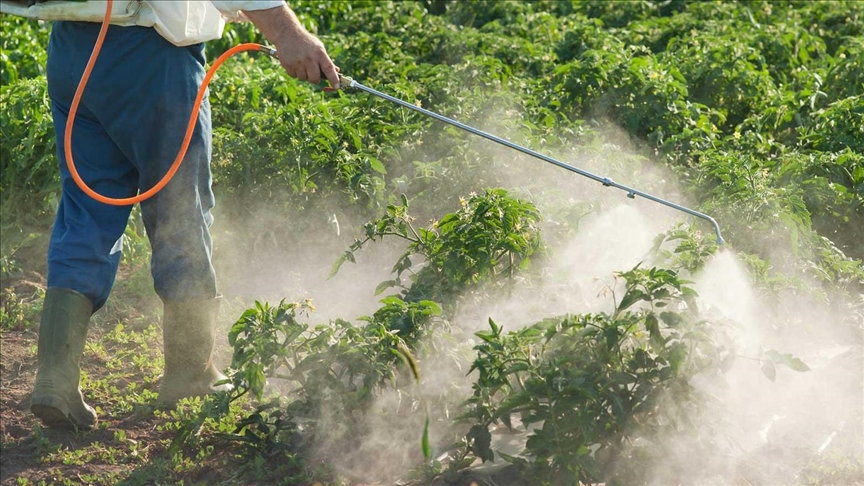 UN expert warns about excessive pesticide use in Paraguay