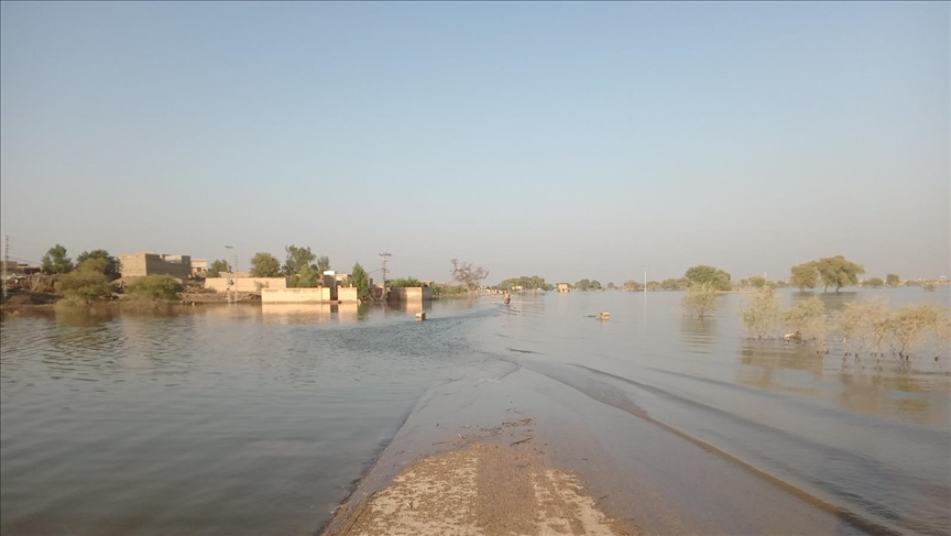 Pakistan's flood-hit provinces likely to produce 50% less wheat