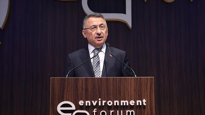 Вице-президент Турции назвал климатические изменения общей проблемой человечества