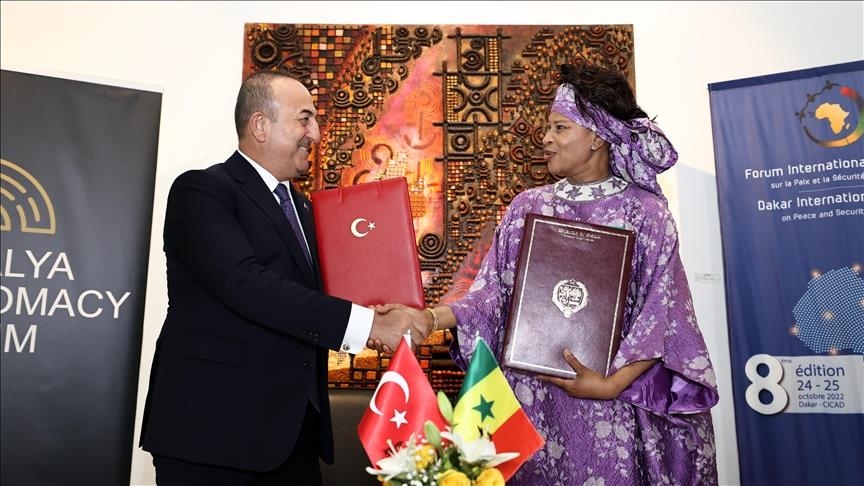 Türkiye hails Ghana's role in becoming voice of Africa at UN Security Council