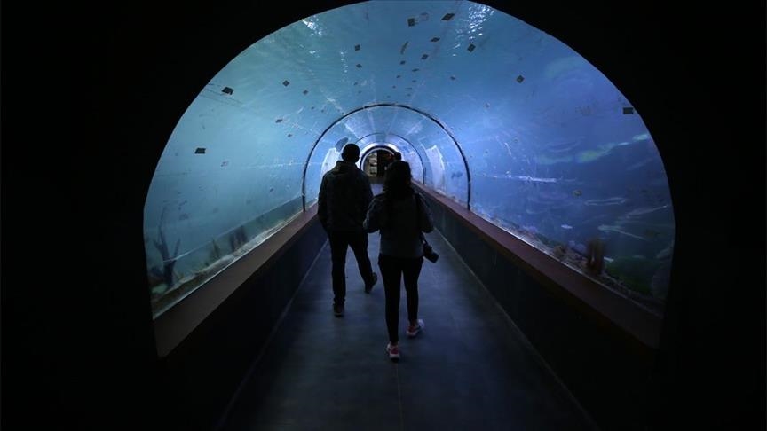 Aquarium in Germany at risk of closing down amid soaring energy costs