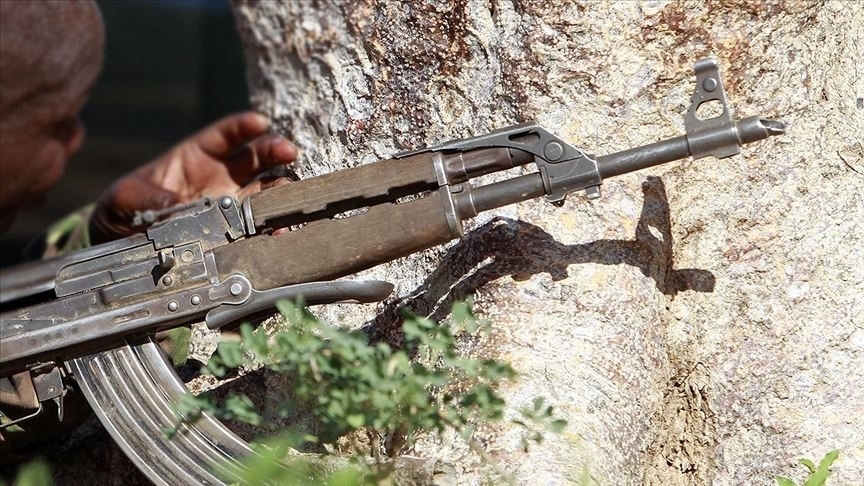 Somali'de Eş-Şebab'a yönelik operasyonda 100 örgüt üyesi etkisiz hale getirildi