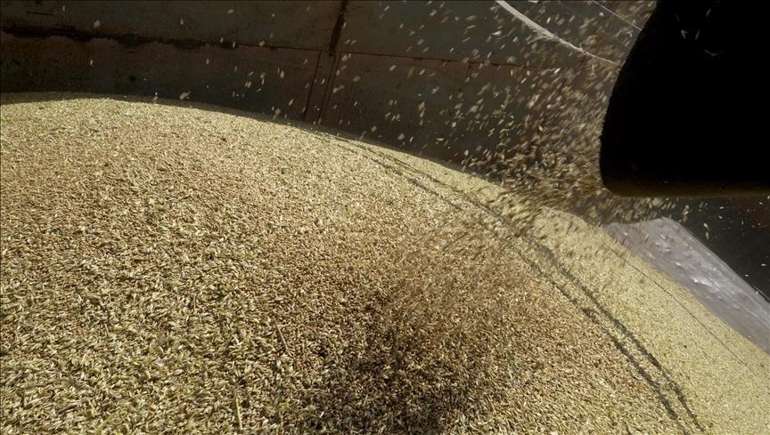 Ucrania denuncia que Rusia bloquea 2 millones de toneladas de grano en 176 barcos que ya están en el mar