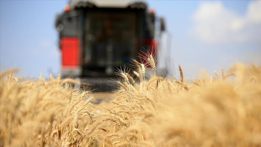 Diplomatic efforts underway on Russian grain, fertilizer exports, says Türkiye