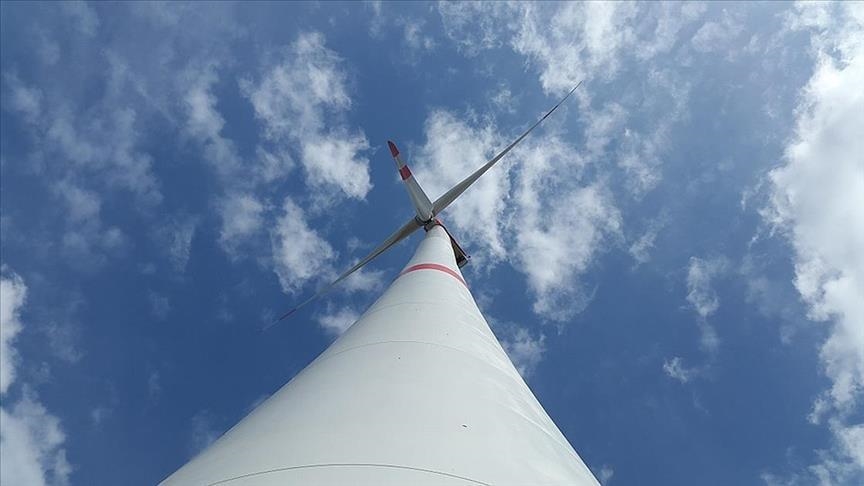 Nine new countries sign up for Global Offshore Wind Alliance at COP27