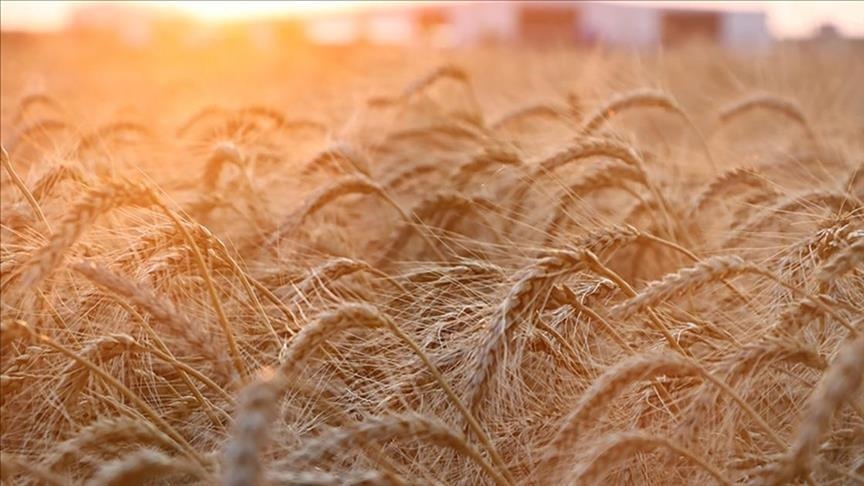 ASEAN, China urge world community to strengthen food security