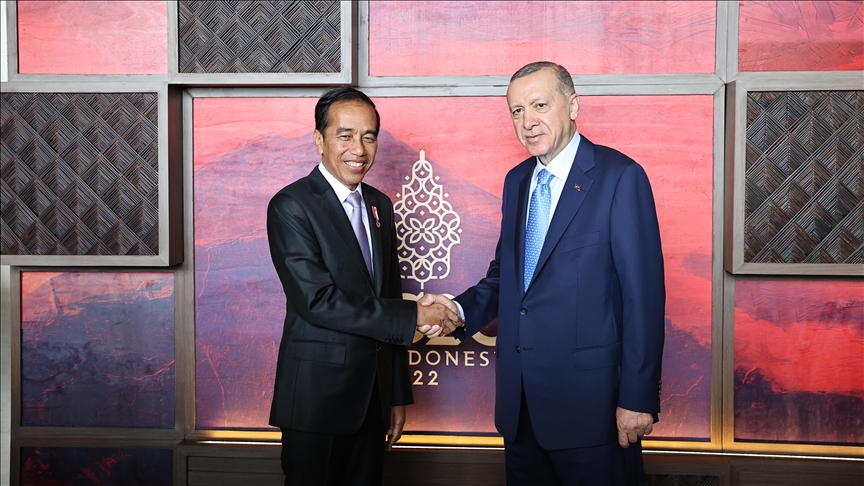 Turkish, Indonesian presidents meet in Bali for talks on ties