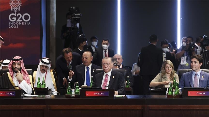 Presiden Turki ingatkan dunia yang hadapi kemungkinan krisis pangan