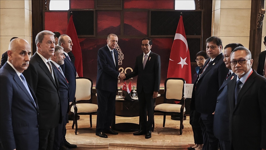Indonesia dan Turki sepakat segera rampungkan IT-CEPA