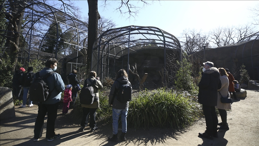 Energy crunch forces Germany's Dortmund Zoo to shutter tropical house