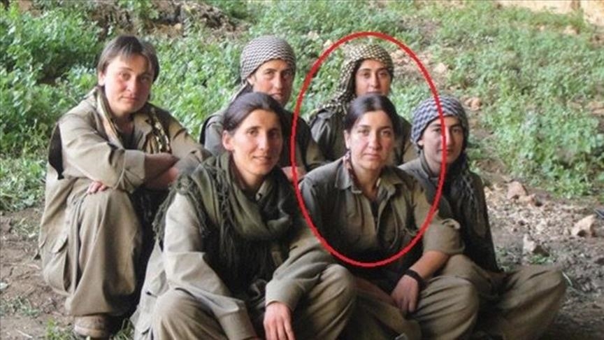 Türkiye 'neutralizes' 5 PKK terrorists in northern Iraq