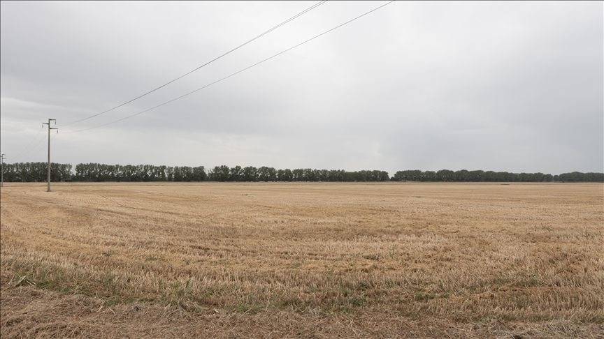 Hottest year since 1800 leaves mark on Italian agriculture