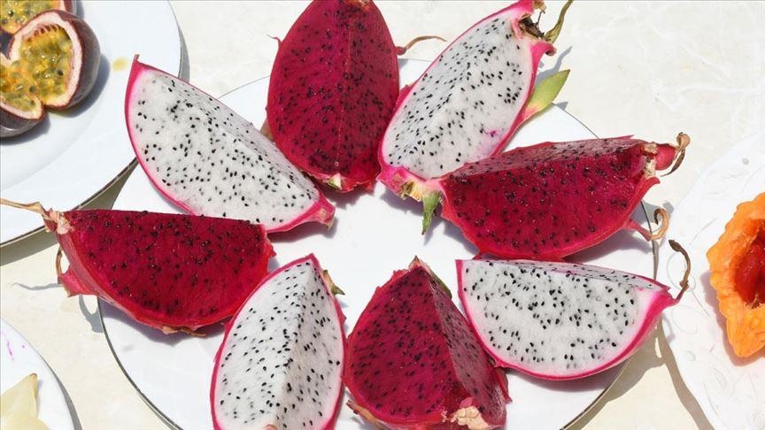 Madagascar : démarrage tardif de la campagne de collecte de litchis