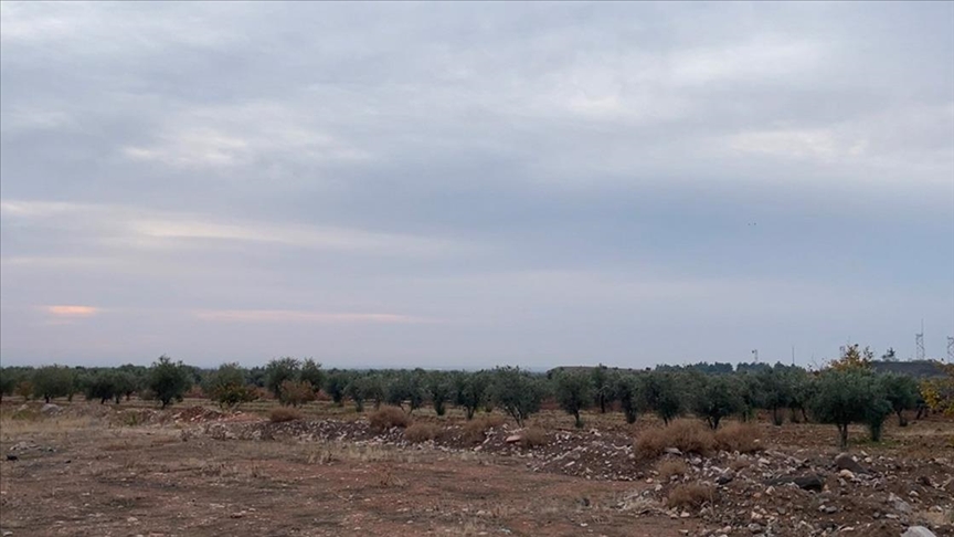 القوات التركية تواصل قصف مواقع الإرهابيين شمالي سوريا