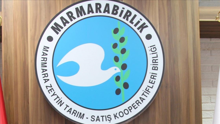 Marmarabirlik ortaklarına 205 milyon lira ödeme yapacak 