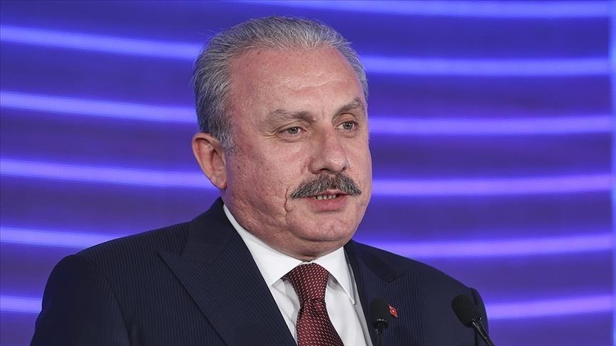 Спикер парламента Турции отметил значимость поддержки Австрией борьбы с терроризмом