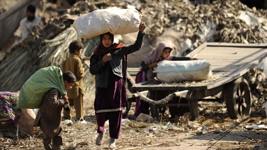 50M people living in modern slavery in 2021, figures show