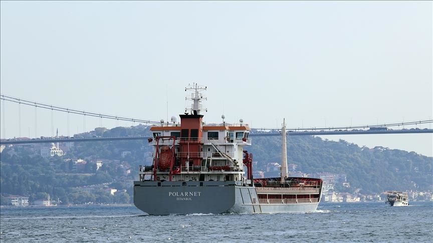 Ankara demands ships prove insurance coverage to pass through Turkish Straits Ankara demands ships prove insurance coverage to pass through Turkish Straits