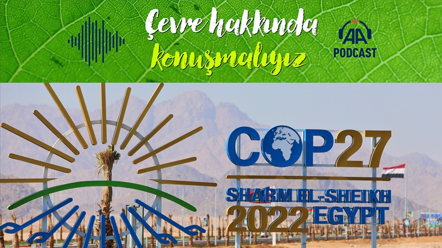 Küresel iklim konferansları 30 yılda ne getirdi?