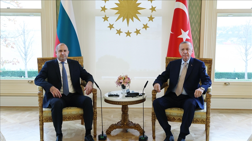أردوغان يدعو لتعاون دولي فعال في مسألة الهجرة غير النظامية