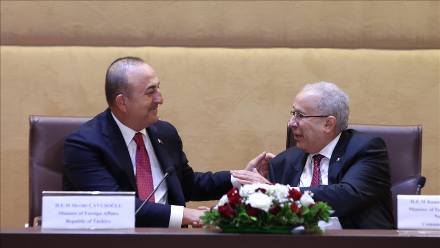 تشاووش أوغلو: استثماراتنا في الجزائر تجاوزت 5 مليارات دولار