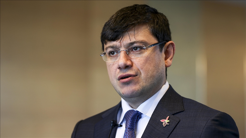 Azerbaijani official urges collaboration in Turkic states diaspora
