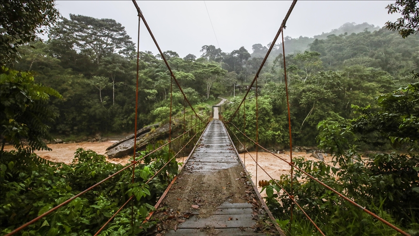 Push for illegal mining threatening Indigenous community in Brazil: Report