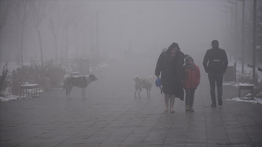 Doğu Anadolu'da kar ve sis etkili oluyor