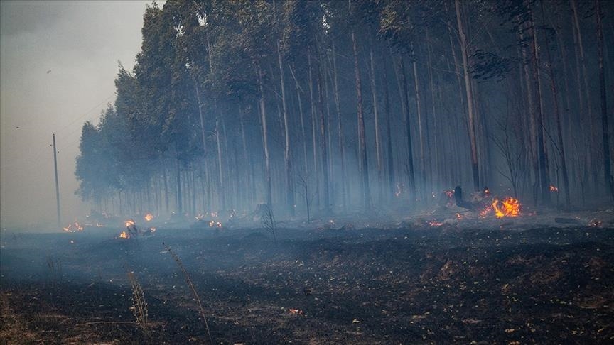 Forest fires raging in 7 Argentine provinces Forest fires raging in 7 Argentine provinces