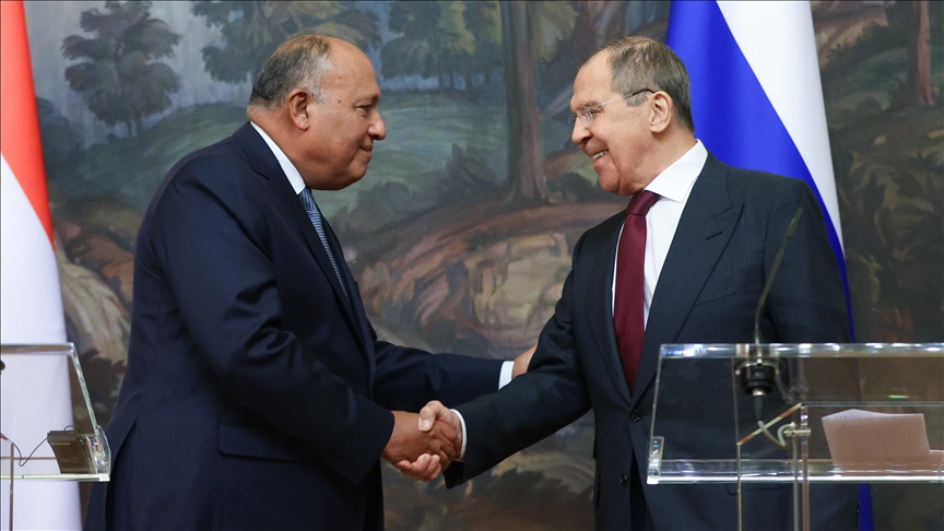 Top Russian, Egyptian diplomats discuss bilateral, international issues