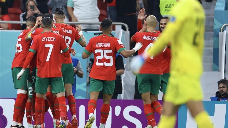 Danish TV channel apologizes for comparing monkey family to Moroccan footballers