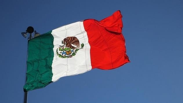 Глава МИД Мексики назвал необоснованным решение о высылке посла из Перу