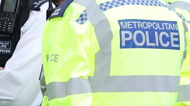 Man arrested after alleged attempt to set fire in front of Buckingham Palace