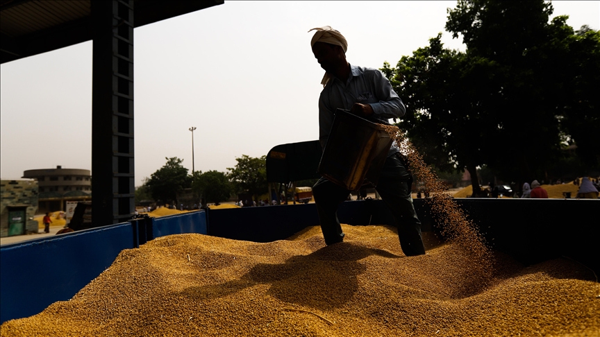 India to provide free food grains to over 800 million poor people for 1 year