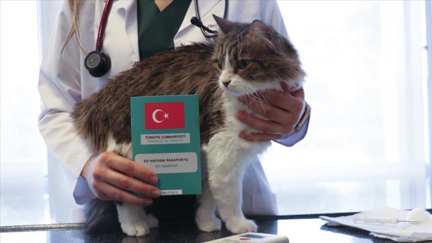 Ev hayvanlarının dijital kimliklendirilmesinde son gün