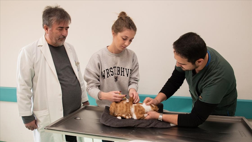 Selçuk Üniversitesi Veteriner Fakültesinde bu yıl 20 bin 250 hayvanın tedavisi yapıldı