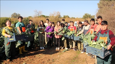 Mersin'de öğrencilerin yetiştirdiği sebzeler hasat edildi