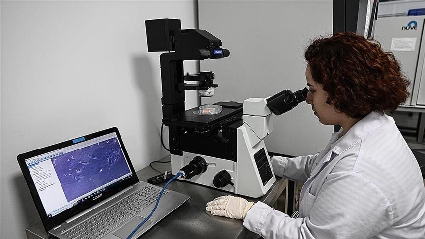 Turkish scientists developed imaging technique that will provide personalized cancer treatment