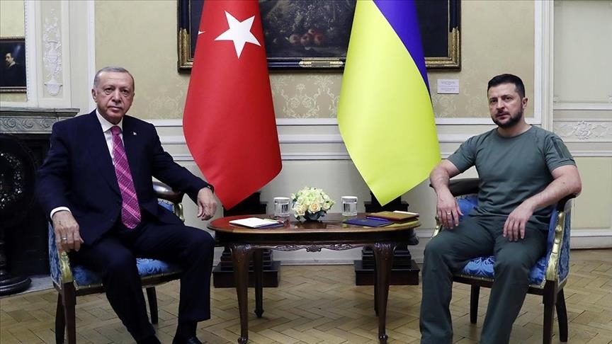 أردوغان وزيلينسكي يبحثان دعم تركيا لأوكرانيا وممر الحبوب