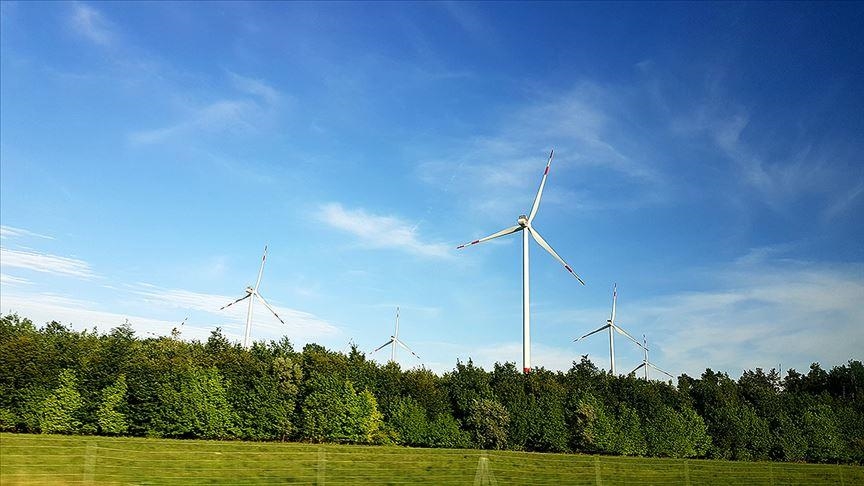 Norway, Germany to closely cooperate on developing green industry: Joint statement