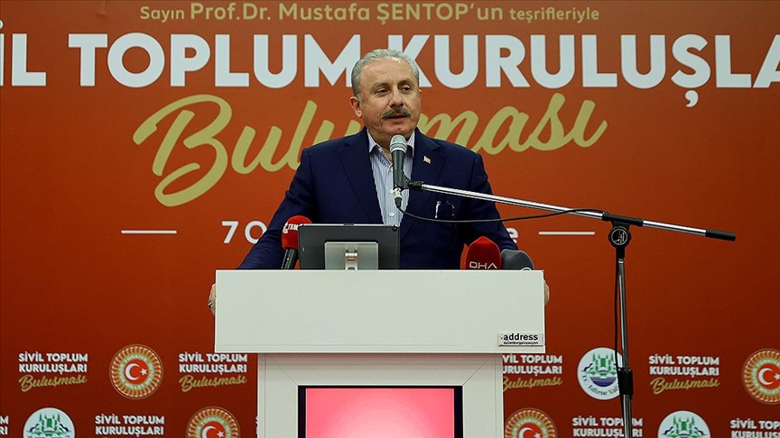 TBMM Başkanı Şentop: Türkiye'nin yeni dünyaya hazır olması lazım