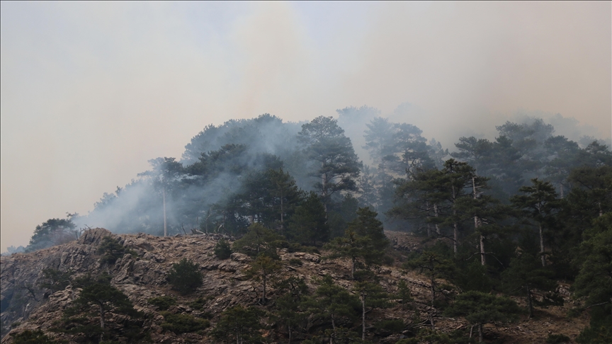 Denizli'de çıkan orman yangınına müdahale ediliyor