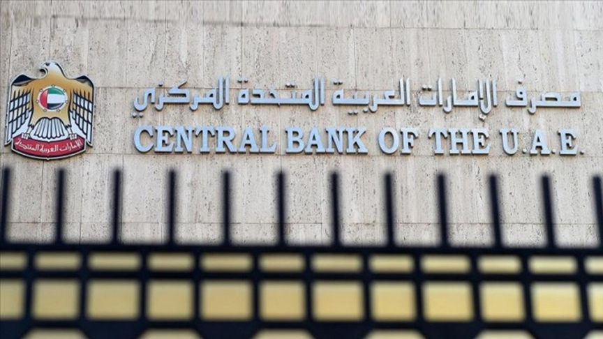 116 مليار دولار الأصول الأجنبية للمركزي الإماراتي بنهاية أكتوبر