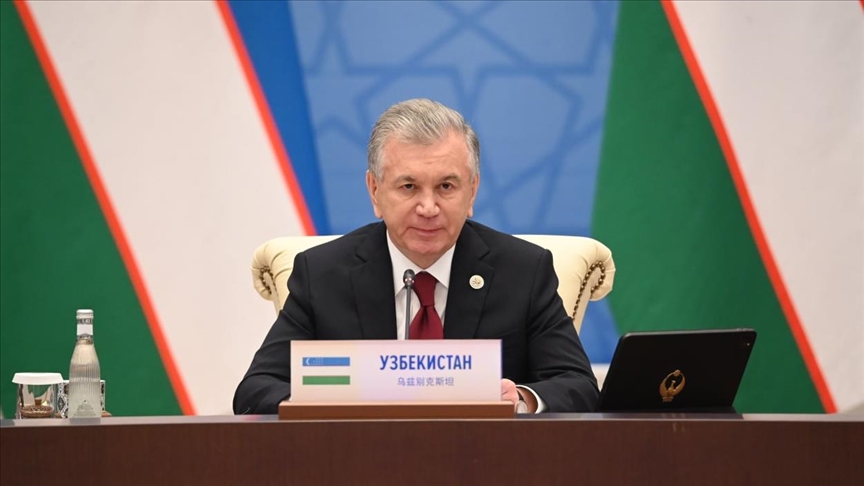 Uzbek president highlights issues of developing countries