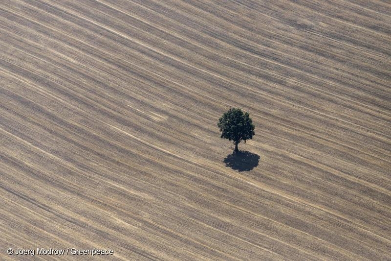 Servicio climático de la UE advierte que 2022 fue el quinto año más cálido jamás registrado