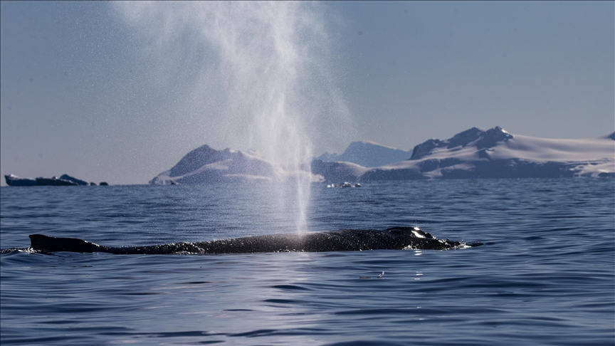 World's oceans were hottest ever in 2022, study shows