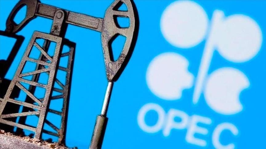 "أوبك" ترفع إنتاجها 91 ألف برميل يوميا من النفط في ديسمبر