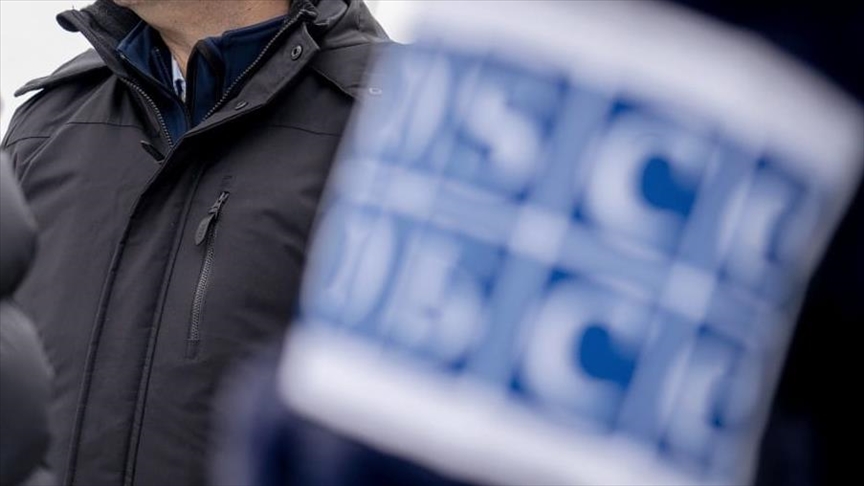 Russia probes reports of OSCE involvement in planning military actions in Donbas