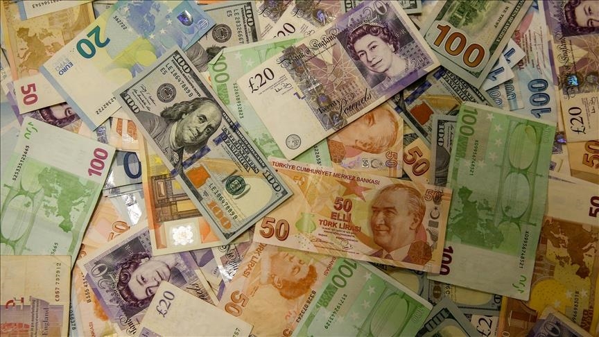 Crna Gora: Priliv stranih direktnih investicija u novembru prošle godine premašio milijardu eura