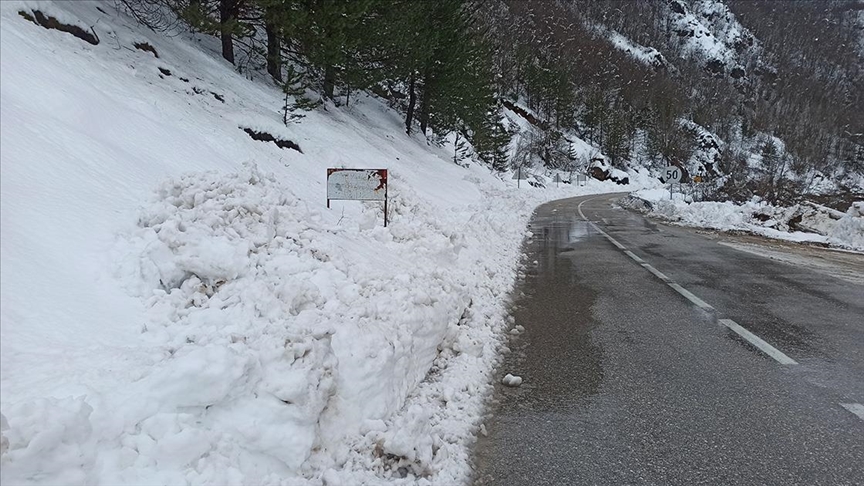 Snijeg stvara probleme službama u istočnoj Hercegovini